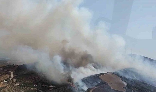 Manisa'da orman yangını