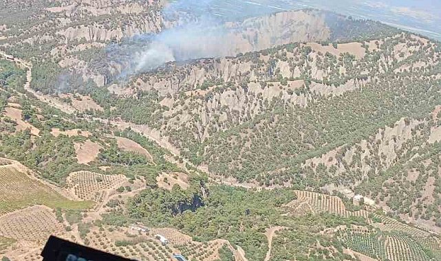 Manisa'da orman yangınına havadan ve karadan müdahale ediliyor