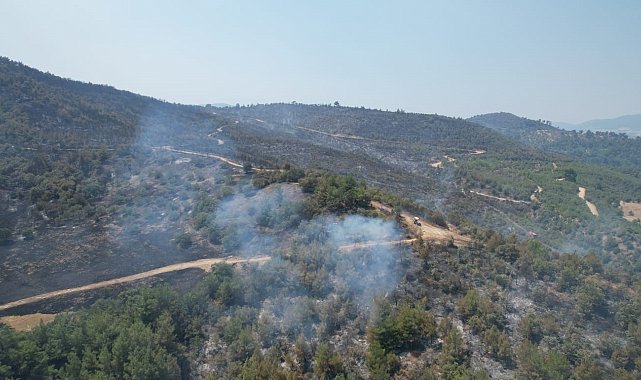Manisa'daki orman yangını beşinci gününde devam ediyor
