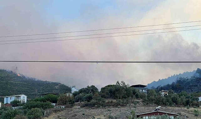 Manisa'daki orman yangını kontrol altına alındı