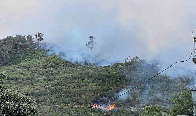 Manisa'daki orman yangınına müdahale devam ediyor