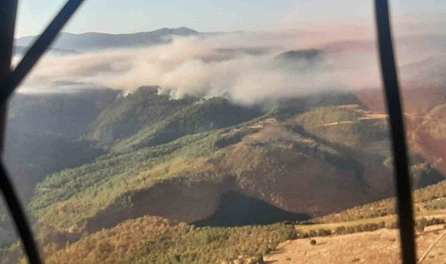 Manisa'daki orman yangınıyla mücadele devam ediyor
