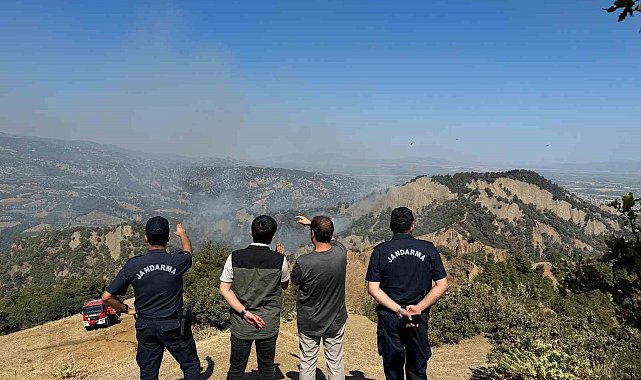 Manisa'daki yangın 44 saatte kontrol altında