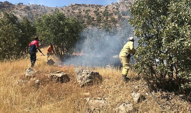 Mardin'de ormanlık alanda çıkan yangın söndürüldü