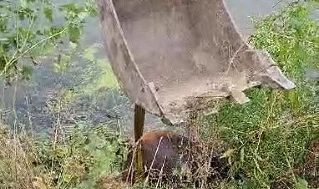 Melen Çayına düştü