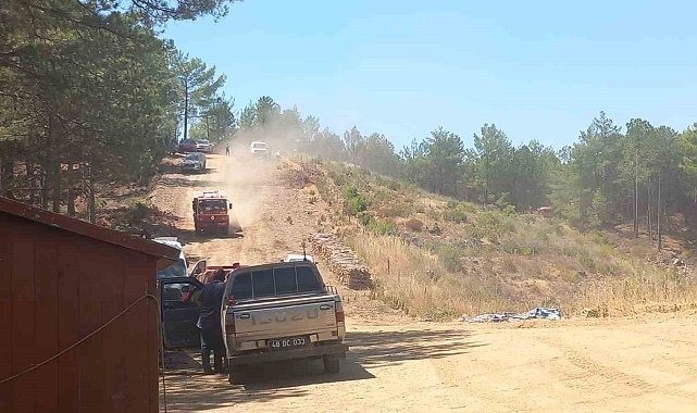 Menteşe'deki orman yangına ekiplerden hızlı müdahale