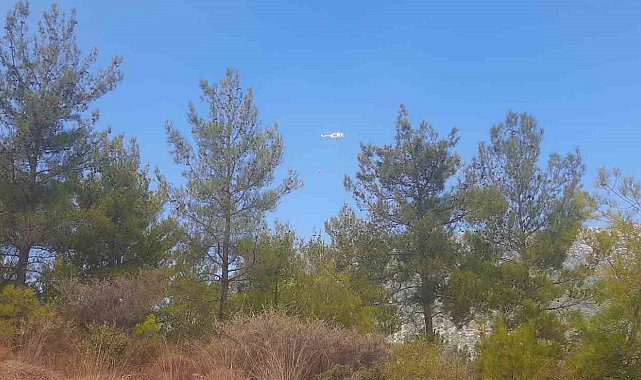 Mersin Bozyazı'da orman yangınına ekipler havadan ve karadan müdahale ediyor