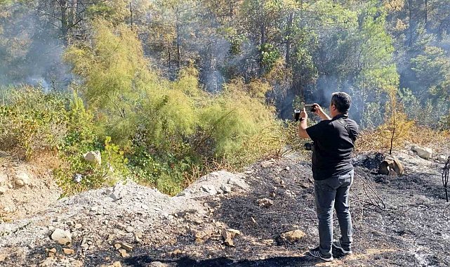 Mersin Silifke'deki orman yangını kısmen kontrol altına alındı