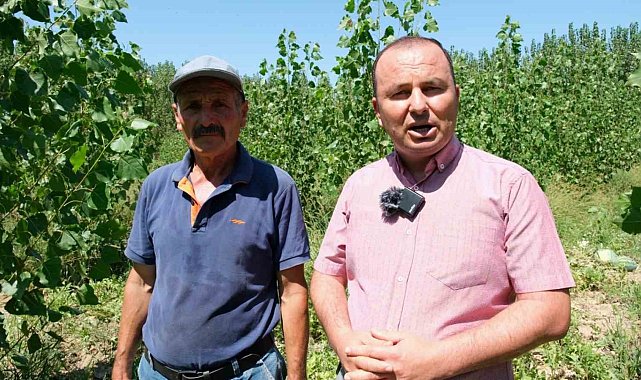 Mersin'de karpuz hasadı başladı