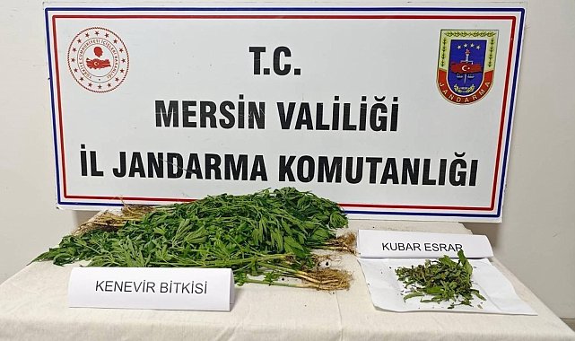 Mersin'de uyuşturucu operasyonu: 6 gözaltı