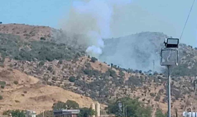 Milas Ören'de arazi yangını