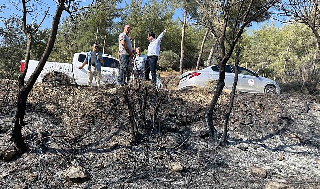 Milas yangınında 13 dekar tarım alanı zarar gördü