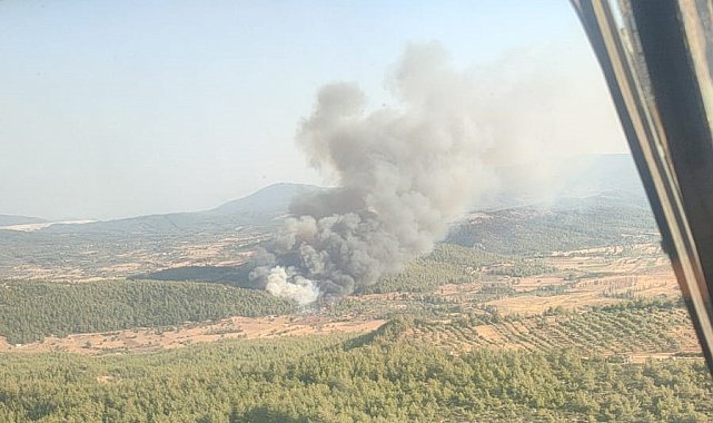 Milas'ta orman yangını