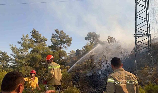 Milas'taki zirai alan yangını kontrol altına alındı