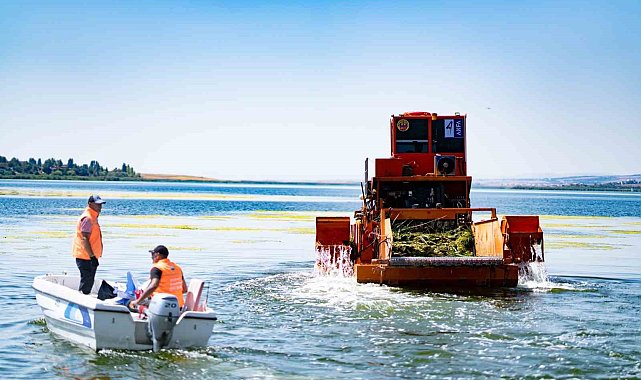 Mogan Gölü'nde temizlik çalışmaları devam ediyor
