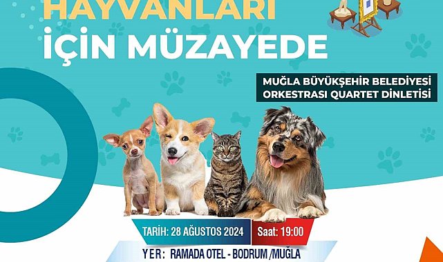 Muğla Büyükşehirden sokak hayvanları yararına müzayede