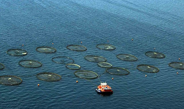 Muğla, Temmuz'da 91 milyon dolarlık ihracat ile Ege'de 4'üncü sırada yer aldı