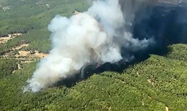 Muğla'da eş zamanlı orman yangını