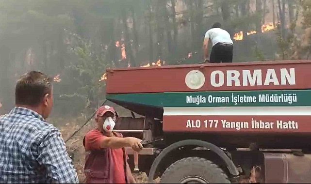 Muğla'daki orman yangınlarına müdahale sürüyor