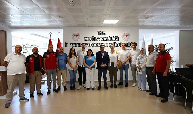 Muğla'nın çam balı, Birleşik Krallık'ın radarında