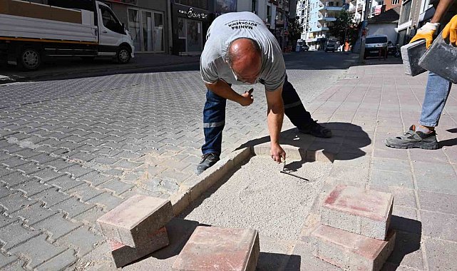 Muradiye'nin kronik sorunları büyükşehirle çözülüyor