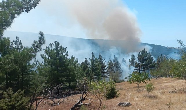Mut'ta orman yangını büyümeden söndürüldü