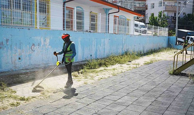 Okul bahçelerinde yabani ot temizliği