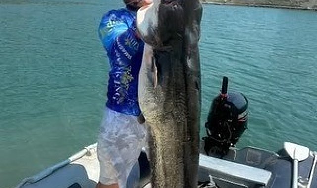 Oltayla 45 kiloluk yayın balığı yakaladı