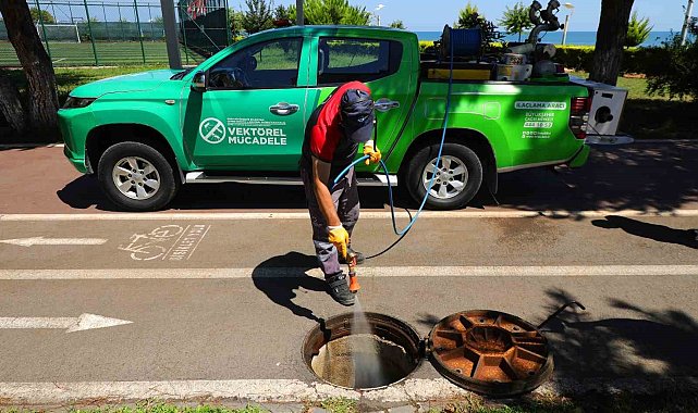 Ordu'da vektörlere karşı mücadele sürüyor