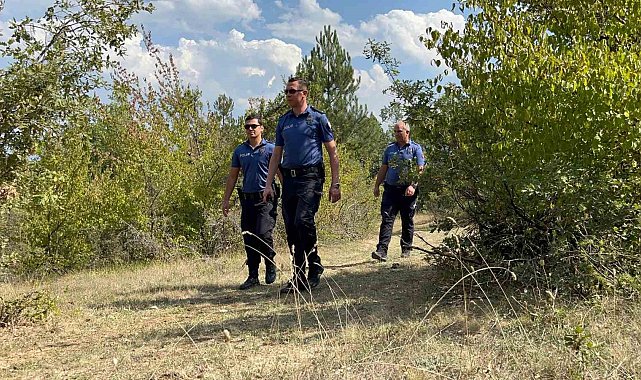 Ormanlara giriş yasağı olan Bolu'da polis ekiplerinden habersiz kuş uçmuyor