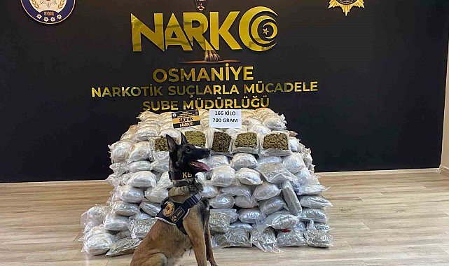 Osmaniye'de durdurulan tırda 166 kilo 700 gram skunk ele geçirildi
