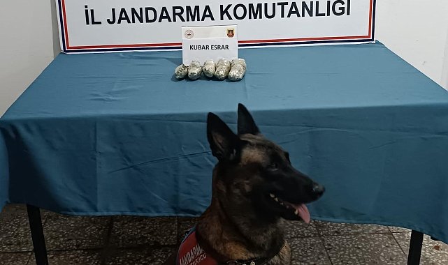 Osmaniye'de jandarmadan tarihi eser ve uyuşturucu operasyonu