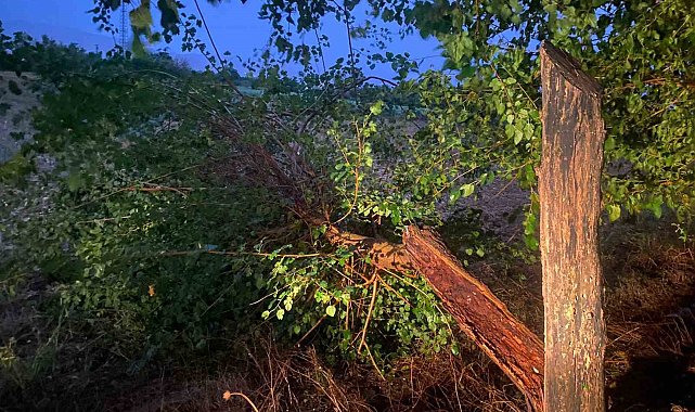 Osmaniye'de kuvvetli sağanak ve fırtına etkili oldu