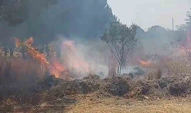 Otluk alanda çıkan yangın ormana ulaşmadan söndürüldü