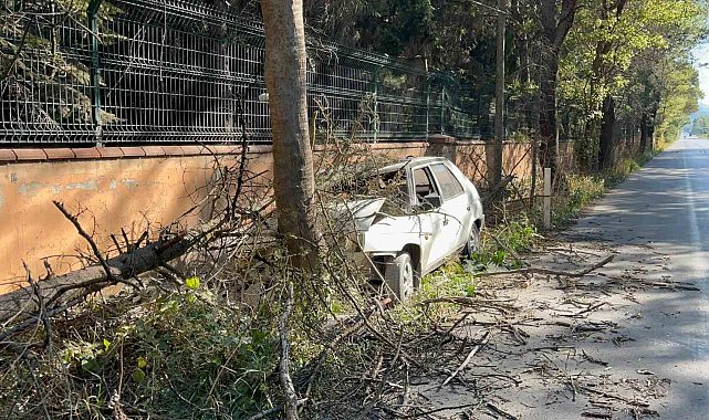 Otomobilin çarptığı ağaç üzerine devrildi, yangın çıktı: 1 yaralı