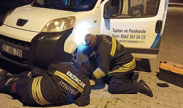 Otomobilin kaputuna giren kediyi itfaiye kurtardı