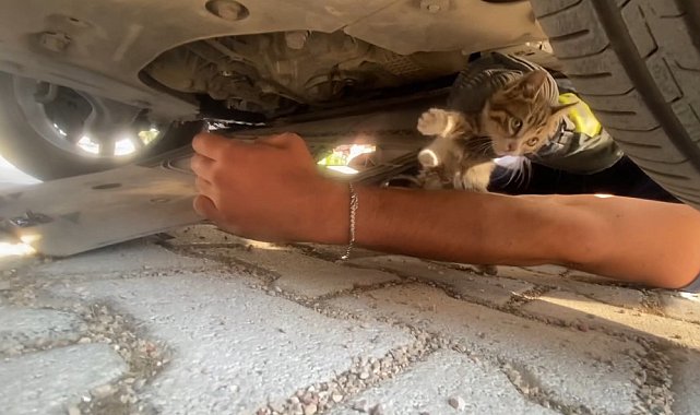 Otomobilin motoruna giren yavru kedi kurtarıldı
