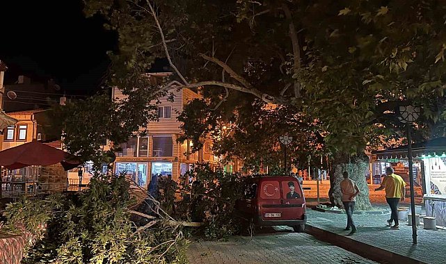Park halindeki aracın üzerine ağacın kırılan dalı düştü
