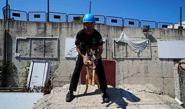 Sağlık Bakanlığı'nın ilk arama-kurtarma köpeği 'Shollie' afetlere Samsun'da hazırlanıyor