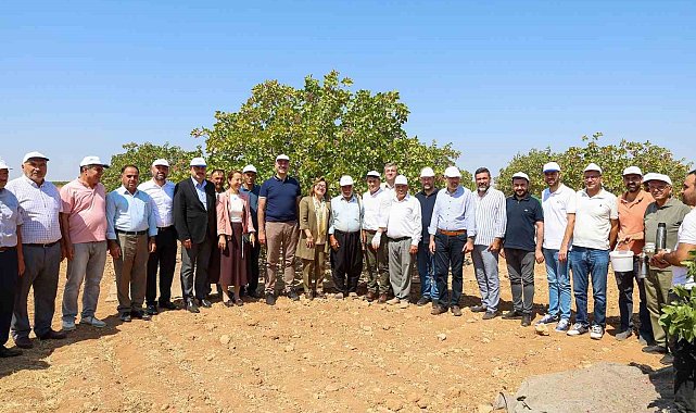 Şahin Barak Ovası'nda hasada katıldı