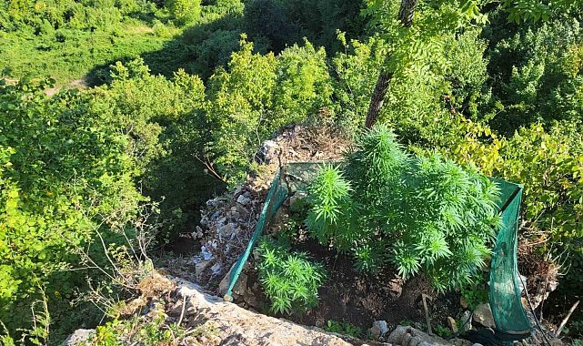 Sakarya'da jandarmadan uyuşturucu operasyonları: 6 tutuklama