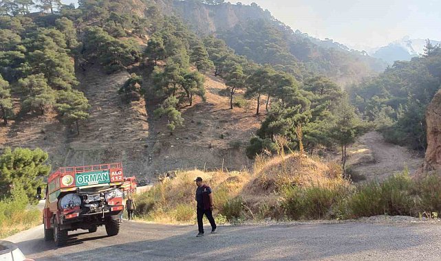 Salihli'deki orman yangını devam ediyor