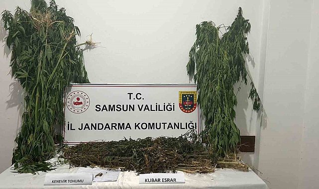 Samsun'da 6 kilo 550 gram kubar esrar ele geçirildi
