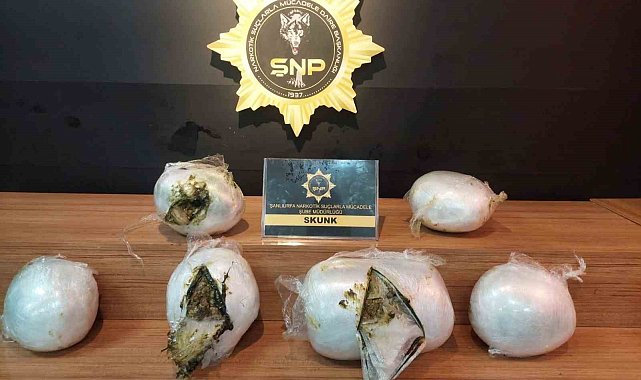 Şanlıurfa'da 14 kilogram skunk ele geçirildi: 2 gözaltı