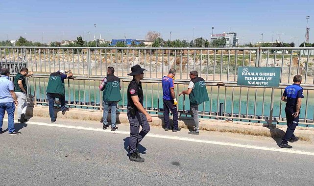 Şanlıurfa'da sulama kanalında görülen dev kaplumbağa ekipleri harekete geçirdi