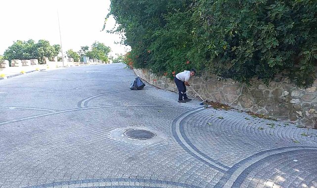Şeyh Edebali Türbesi'nde kapsamlı temizlik