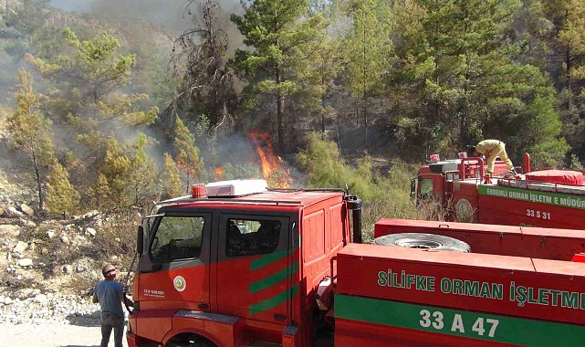 Silifke'de 250 dönüm ormanlık alan yandı