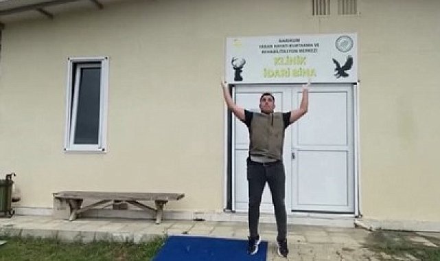 Sinop'ta ebabil kuşu yeniden kanat çırptı