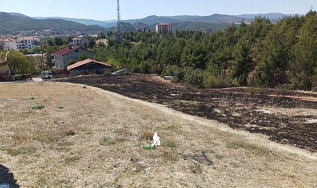 Sinop'ta ot yangını