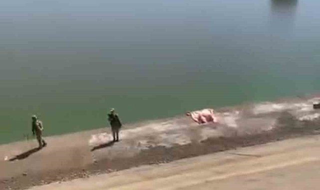Siverek Çamurlu Barajı&#039;nda bir kadın cesedi bulundu